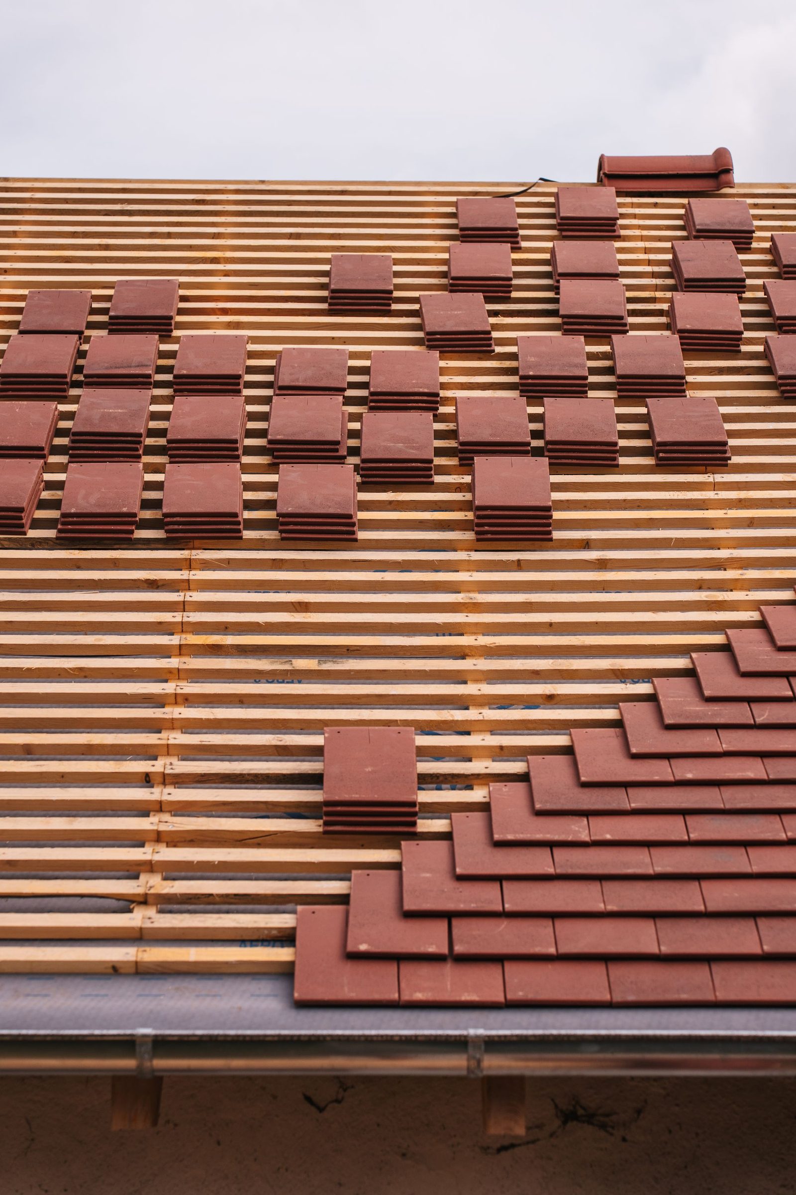 New clay tiles being laid on fresh battens during a re-roof