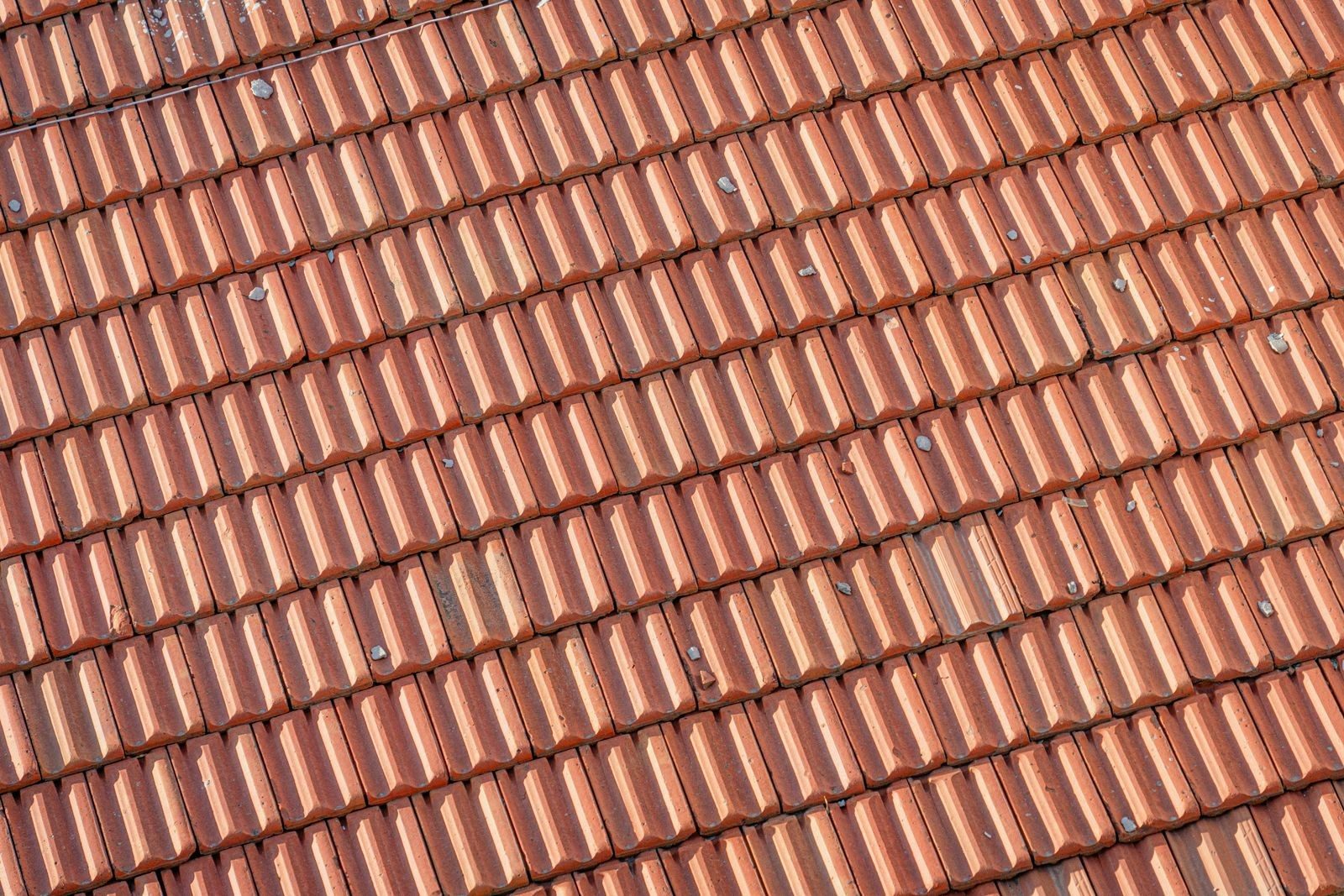 Close-up of overlapping clay roof tiles